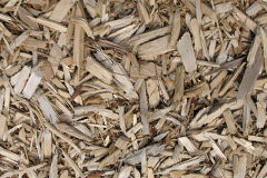 biomass boilers Toton